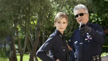 Zasłona к сериалу "Podkomisarz Brenda Johnson" #1255163
