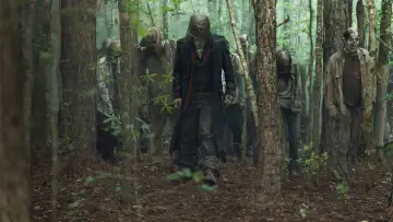 Zasłona к сериалу "The Walking Dead" #1234884