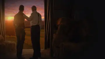 Zasłona к сериалу "The Walking Dead" #1234950