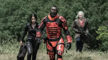 Zasłona к сериалу "The Walking Dead" #1234983