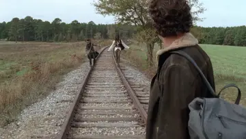 Zasłona к сериалу "The Walking Dead" #1234992