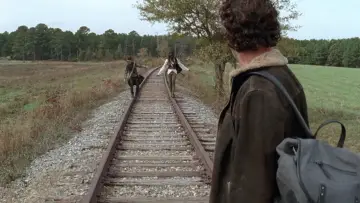 Zasłona к сериалу "The Walking Dead" #1234993