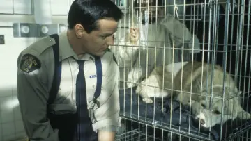 Zasłona к сериалу "Na południe" #1333303