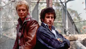 Zasłona к сериалу "Starsky & Hutch" #1341448