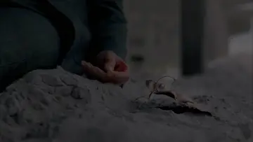Zasłona к сериалу "Zakazane imperium" #1298854