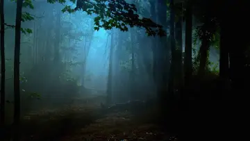 Zasłona к сериалу "Fringe: Na granicy światów" #1272711