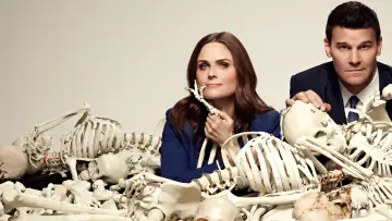 Zasłona к сериалу "Kości" #1241141