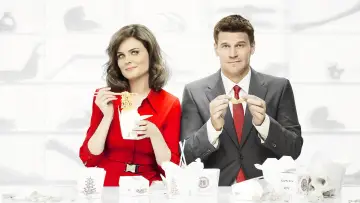 Zasłona к сериалу "Kości" #1241215