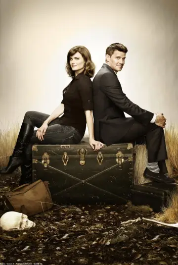 Plakat к сериалу "Kości" #1241457
