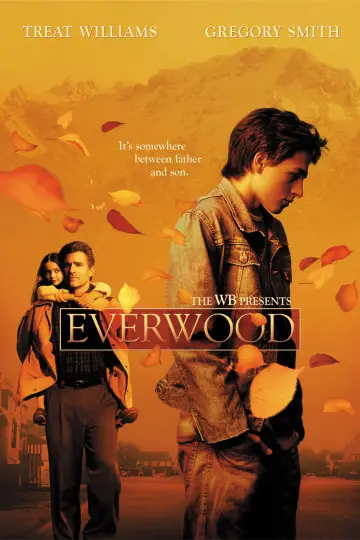 Plakat к сериалу "Everwood" #1286169