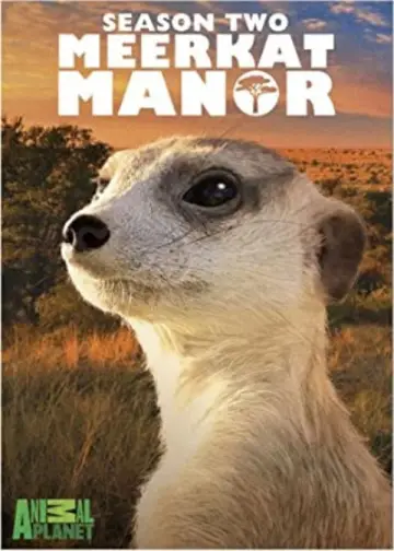 Sezon 2