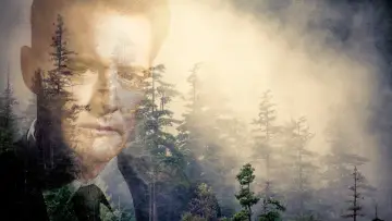 Zasłona к сериалу "Miasteczko Twin Peaks" #1274618