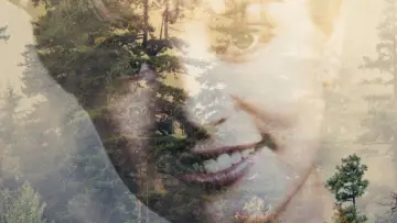 Zasłona к сериалу "Miasteczko Twin Peaks" #1274628