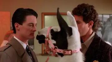 Zasłona к сериалу "Miasteczko Twin Peaks" #1274636