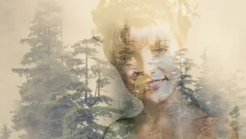 Zasłona к сериалу "Miasteczko Twin Peaks" #1274654