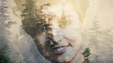 Zasłona к сериалу "Miasteczko Twin Peaks" #1274656