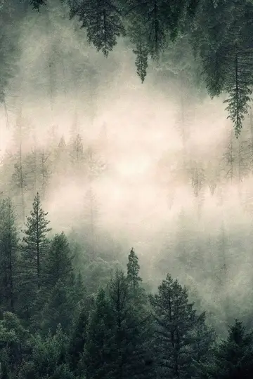 Plakat к сериалу "Miasteczko Twin Peaks" #1274742