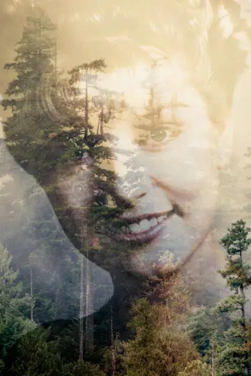 Plakat к сериалу "Miasteczko Twin Peaks" #1274743