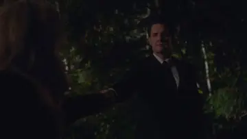 Zasłona do serialu "Miasteczko Twin Peaks" #1535924