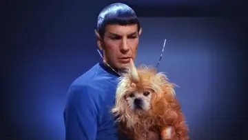 Zasłona к сериалу "Star Trek" #1269651