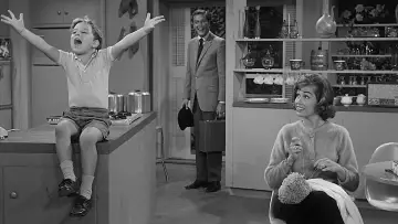 Zasłona к сериалу "Show Dicka Van Dyke