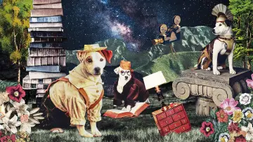 Zasłona do serialu "Wishbone" #1808421