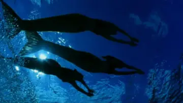 Zasłona к сериалу "H2O: wystarczy kropla" #1349426
