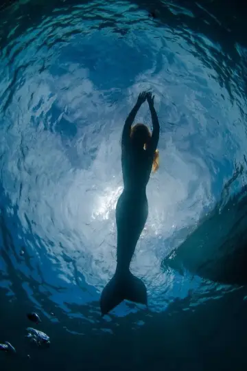 Plakat к сериалу "H2O: wystarczy kropla" #1349476