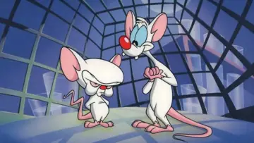Zasłona к сериалу "Pinky i Mózg" #1354037