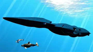 Zasłona к сериалу "SeaQuest" #1349108
