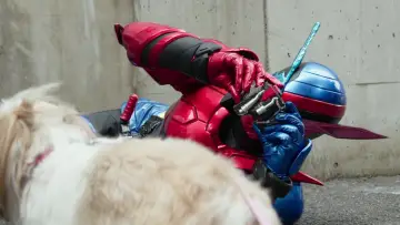 Zasłona do serialu "仮面ライダー" #1534516
