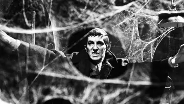 Zasłona к сериалу "Dark Shadows" #1274545