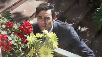 Zasłona к сериалу "Mannix" #1298411