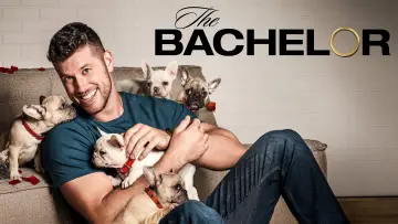 Zasłona к сериалу "The Bachelor" #1390541