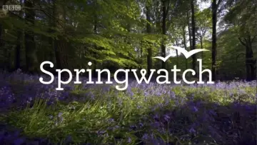 Zasłona к сериалу "Springwatch" #1395960