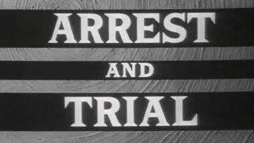 Zasłona do serialu "Arrest and Trial" #1658090