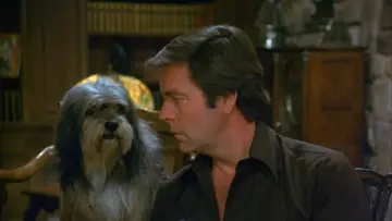 Zasłona к сериалу "Hart to Hart" #1325927