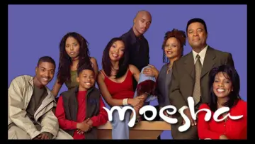 Zasłona к сериалу "Moesha" #1368348