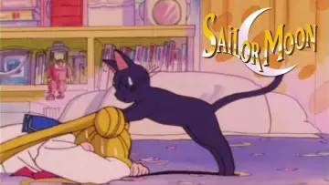 Zasłona к сериалу "Czarodziejka z Księżyca" #1278427