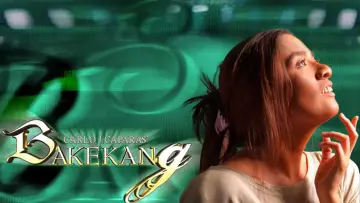 Zasłona do serialu "Bakekang" #1846616