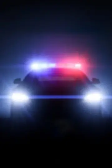 Plakat к сериалу "Policjanci" #1275992