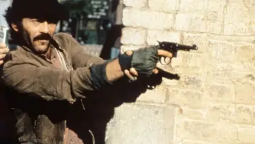 Zasłona к сериалу "Posterunek przy Hill Street" #1297693