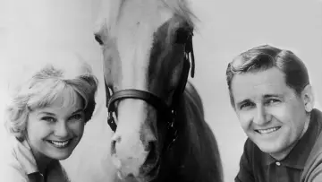 Zasłona к сериалу "Mister Ed" #1392628