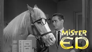 Zasłona к сериалу "Mister Ed" #1392629