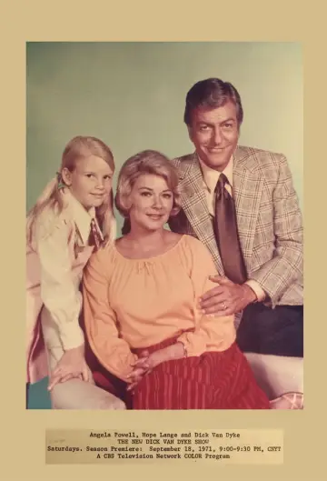 The New Dick Van Dyke Show plakat