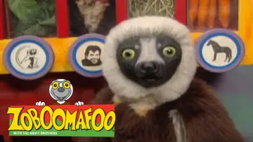Zasłona do serialu "Zoboomafoo" #1831472