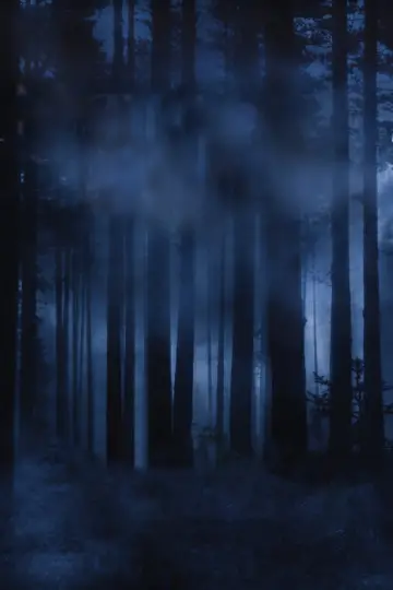 Plakat к сериалу "Nightmares & Dreamscapes: From the Stories of Stephen King" #1506213