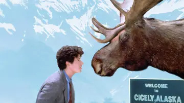 Zasłona к сериалу "Przystanek Alaska" #1301042