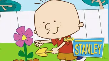 Zasłona do serialu "Stanley" #1590924