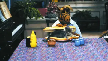 Zasłona к сериалу "ALF" #1329930